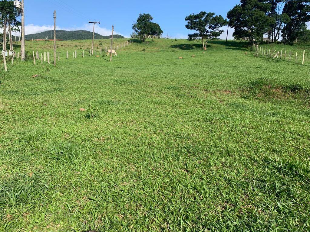 Terreno, 3030 m² - Foto 1