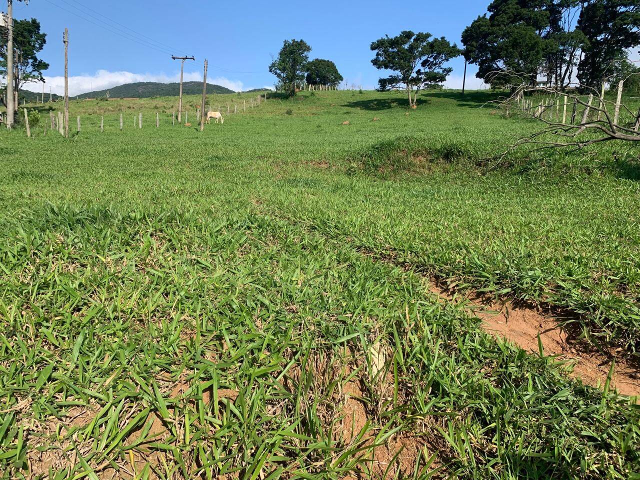 Terreno, 3030 m² - Foto 3