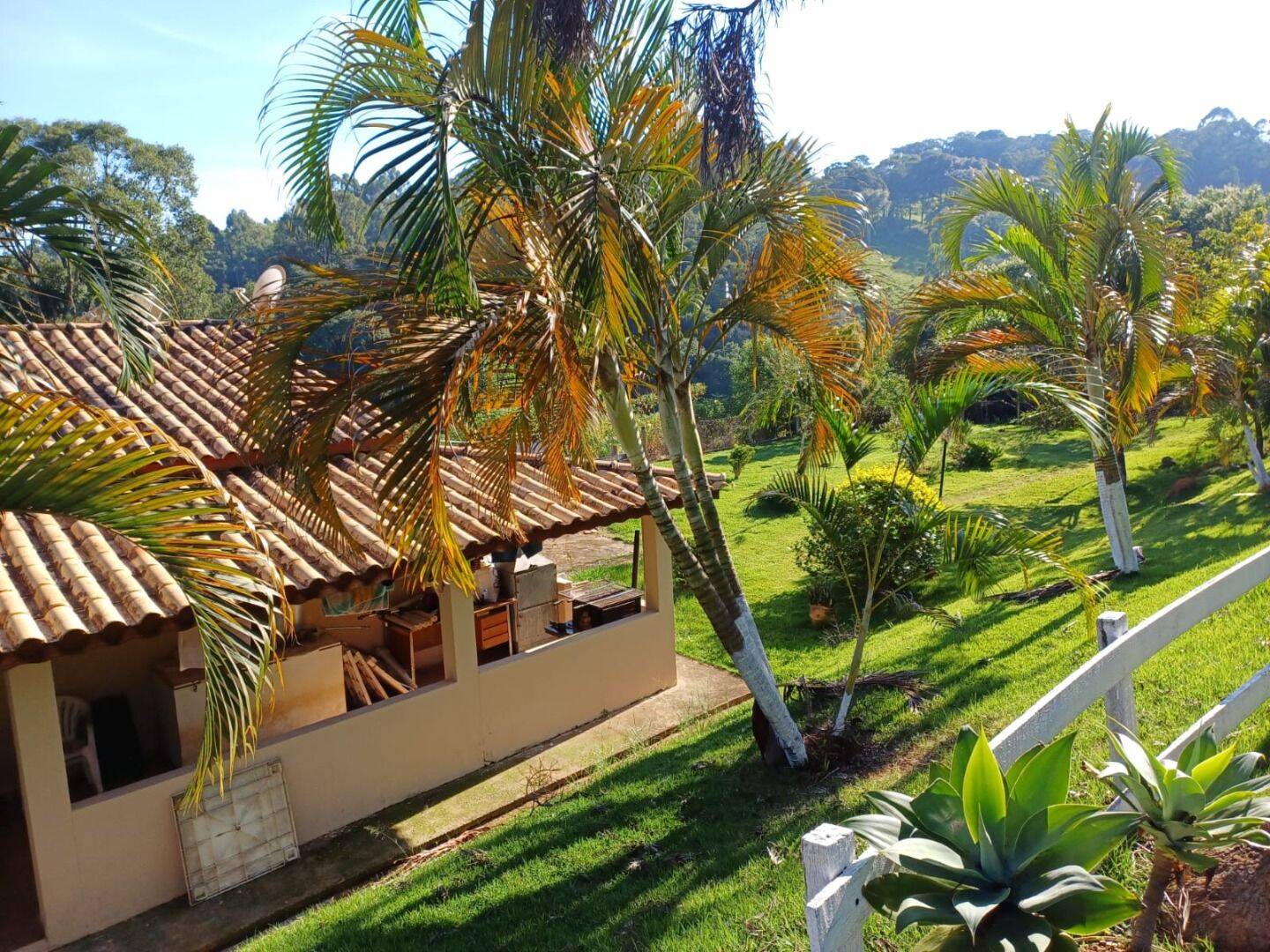 Sítio, 4 quartos, 2 hectares - Foto 4