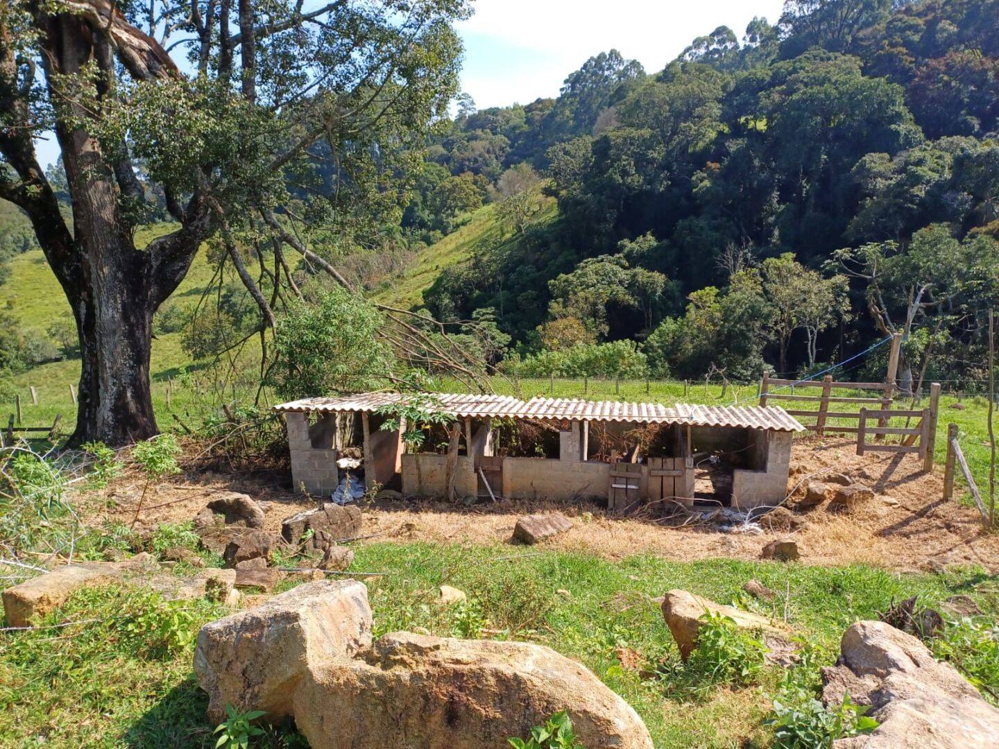 Sítio, 4 quartos, 2 hectares - Foto 10