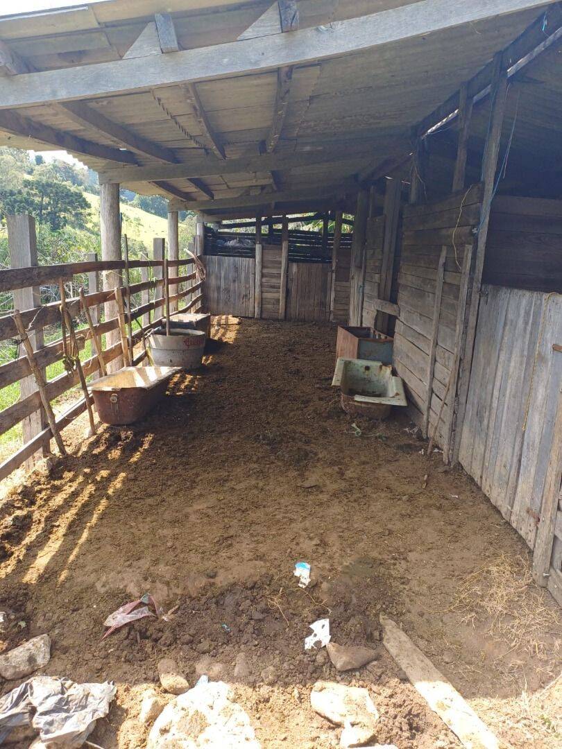 Sítio, 4 quartos, 2 hectares - Foto 12