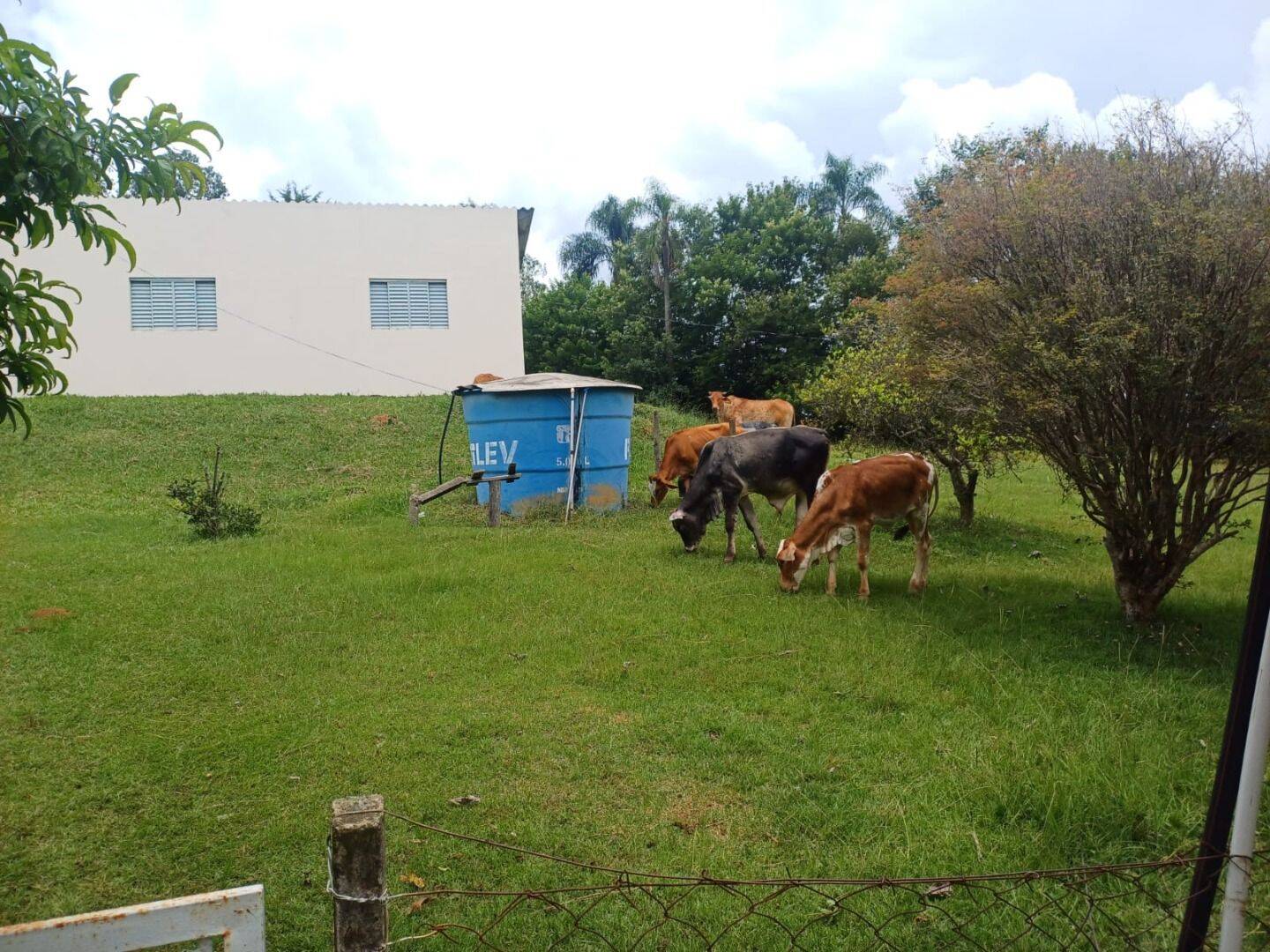 Sítio, 4 quartos, 2 hectares - Foto 15