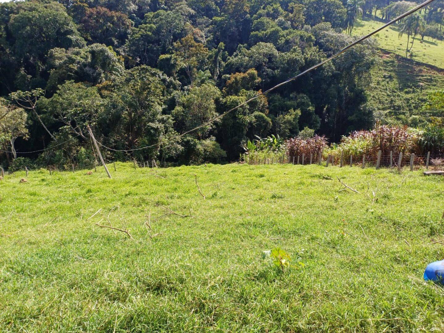 Sítio, 4 quartos, 2 hectares - Foto 16