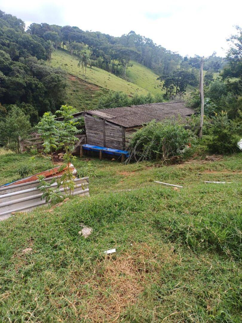 Sítio, 4 quartos, 2 hectares - Foto 20