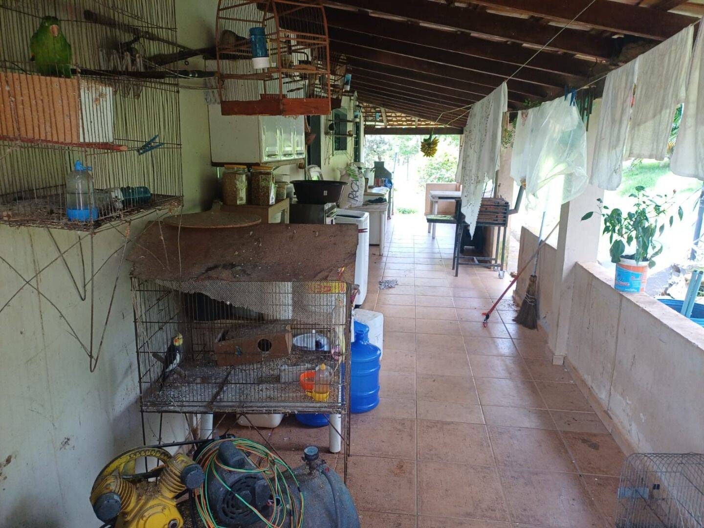 Sítio, 4 quartos, 2 hectares - Foto 31