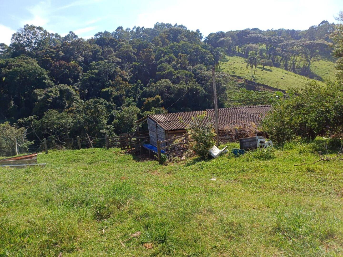 Sítio, 4 quartos, 2 hectares - Foto 32
