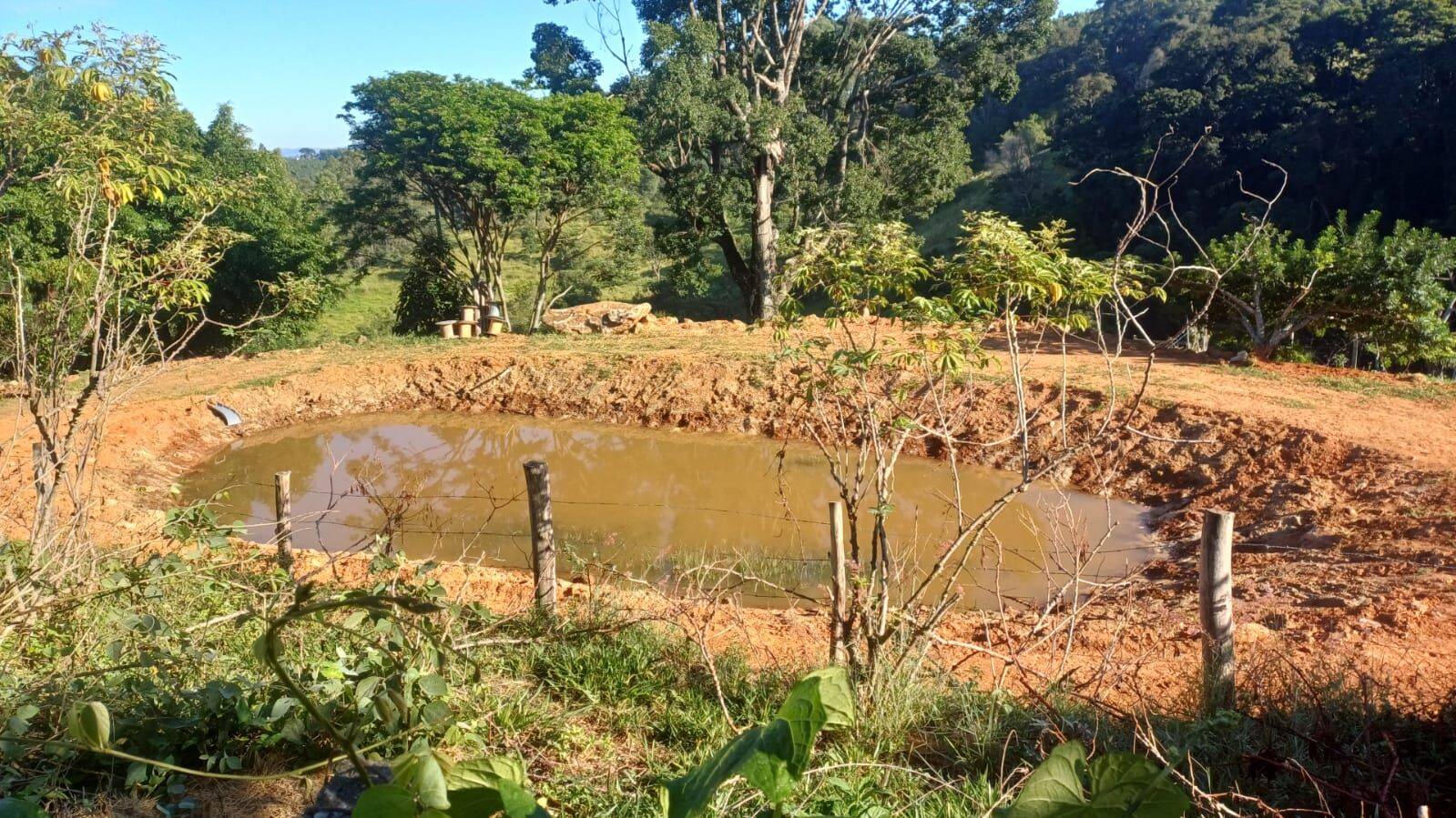 Sítio, 4 quartos, 2 hectares - Foto 40