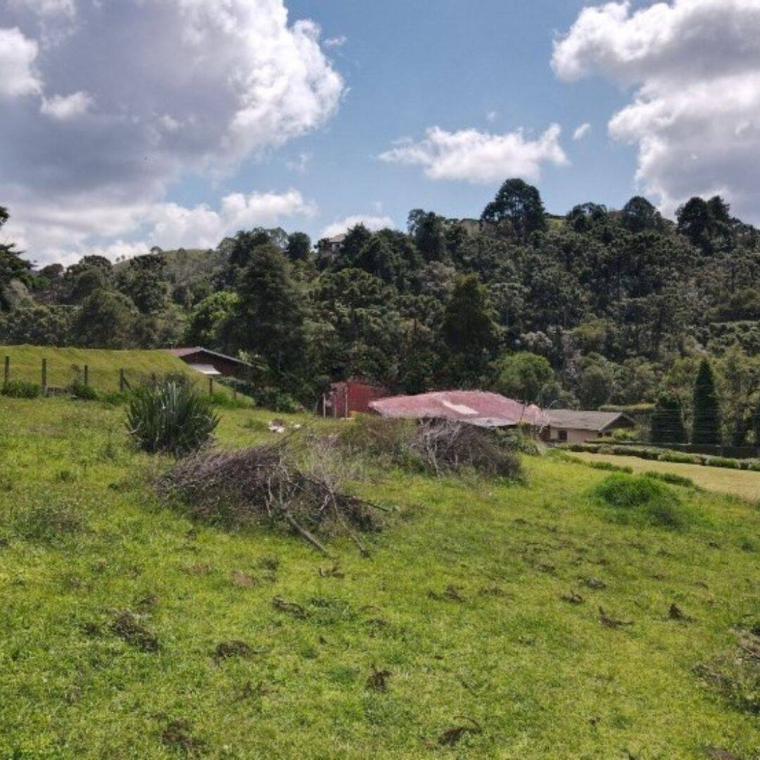 Terreno, 1330 m² - Foto 7