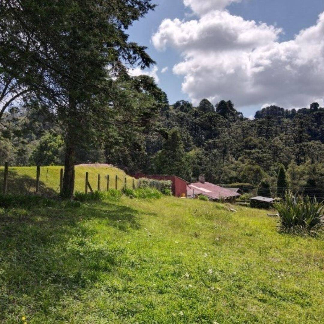 Terreno, 1330 m² - Foto 8