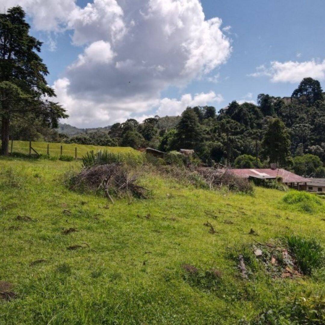 Terreno, 1330 m² - Foto 9