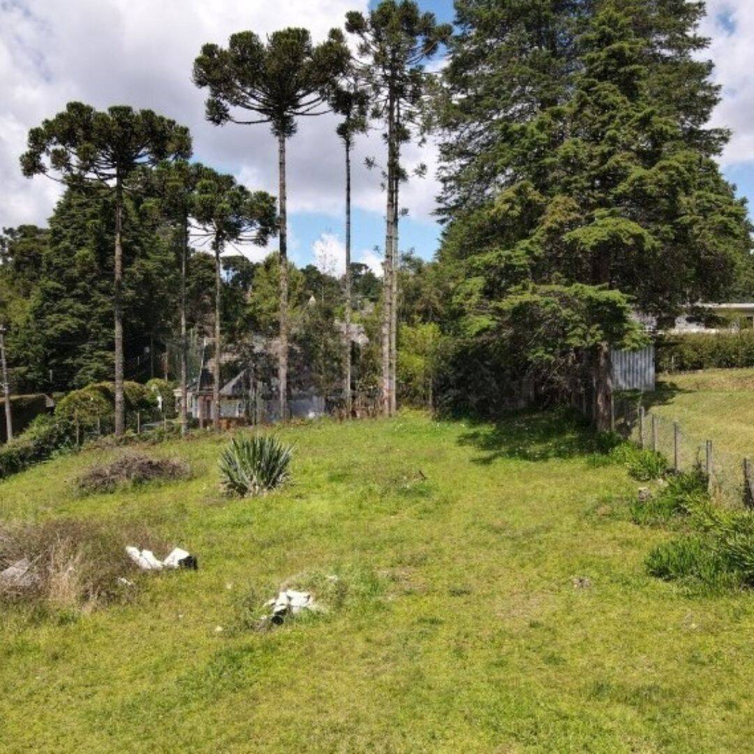 Terreno, 1330 m² - Foto 10