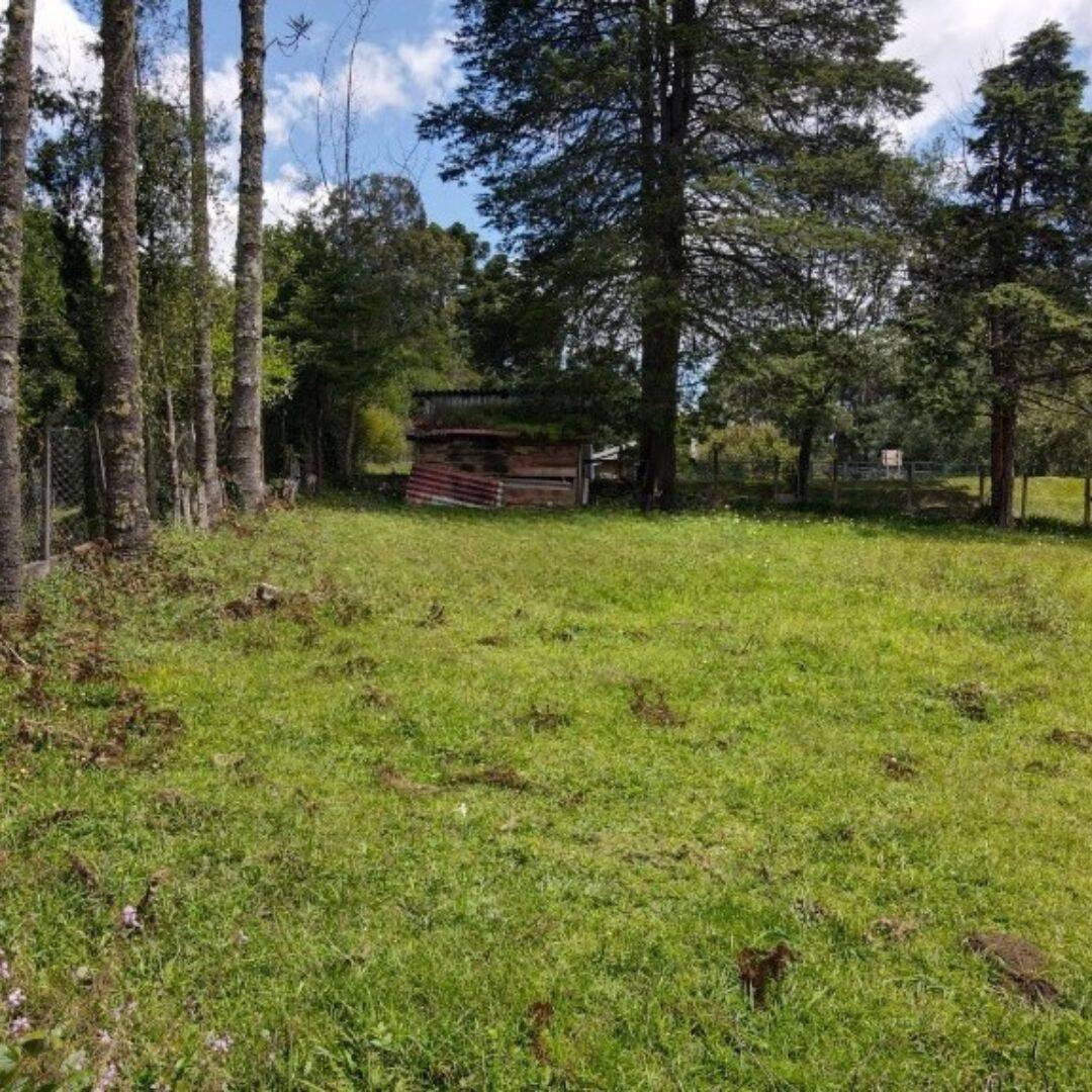 Terreno, 1330 m² - Foto 13
