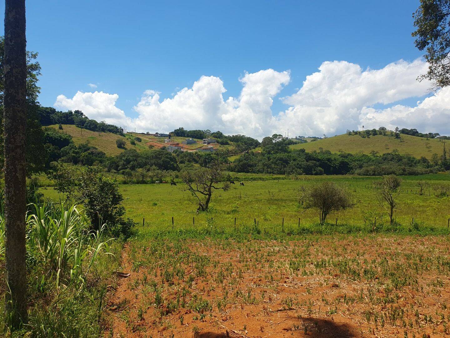 Sítio, 6 quartos, 3 hectares - Foto 3