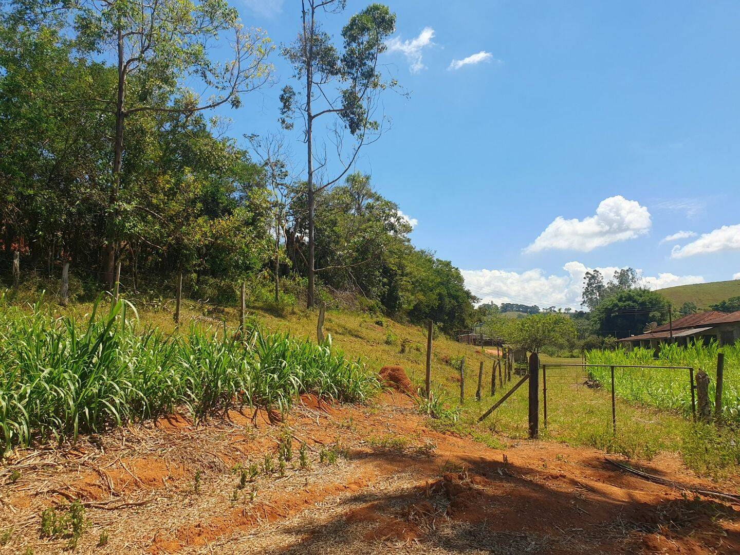 Sítio, 6 quartos, 3 hectares - Foto 6