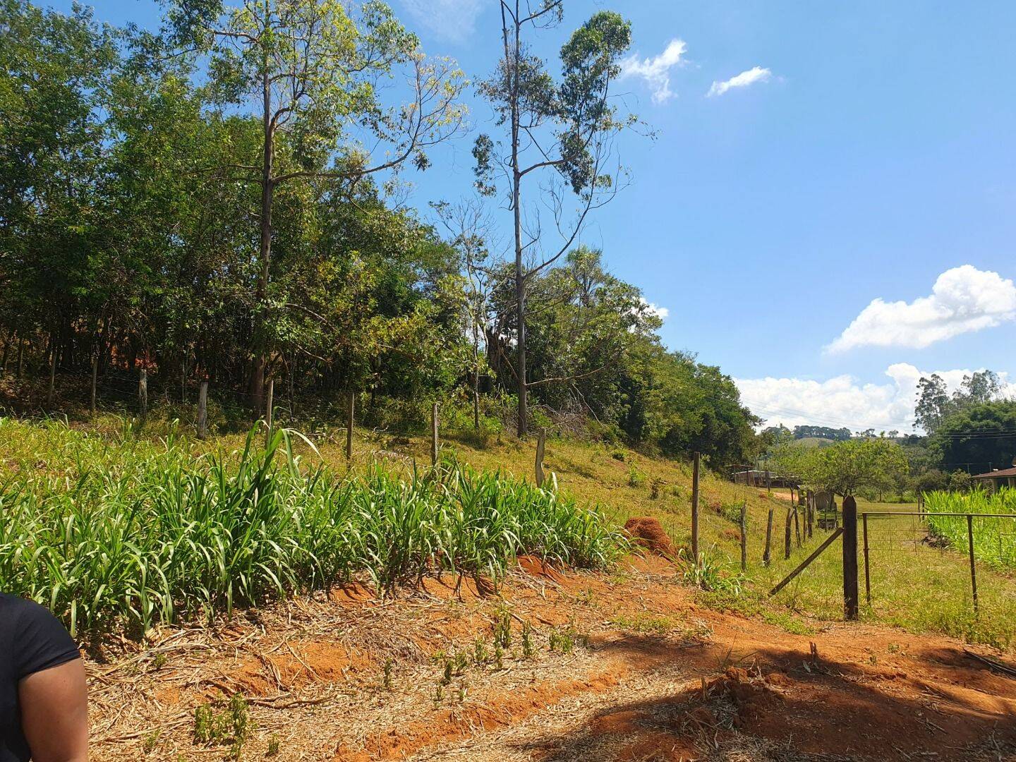 Sítio, 6 quartos, 3 hectares - Foto 8