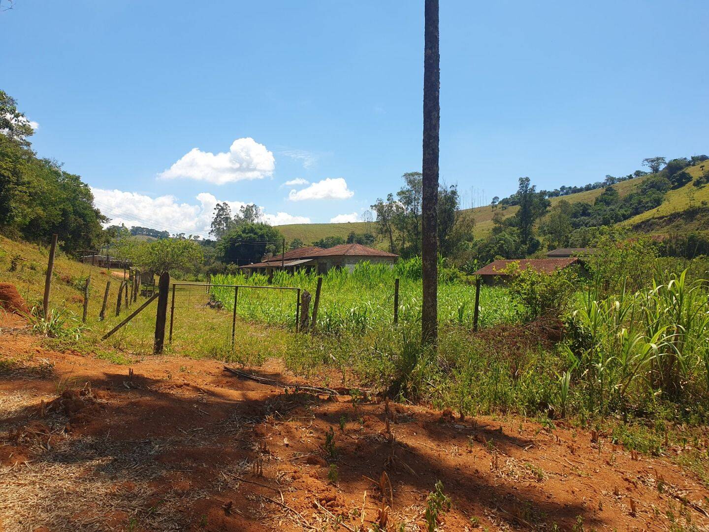 Sítio, 6 quartos, 3 hectares - Foto 10