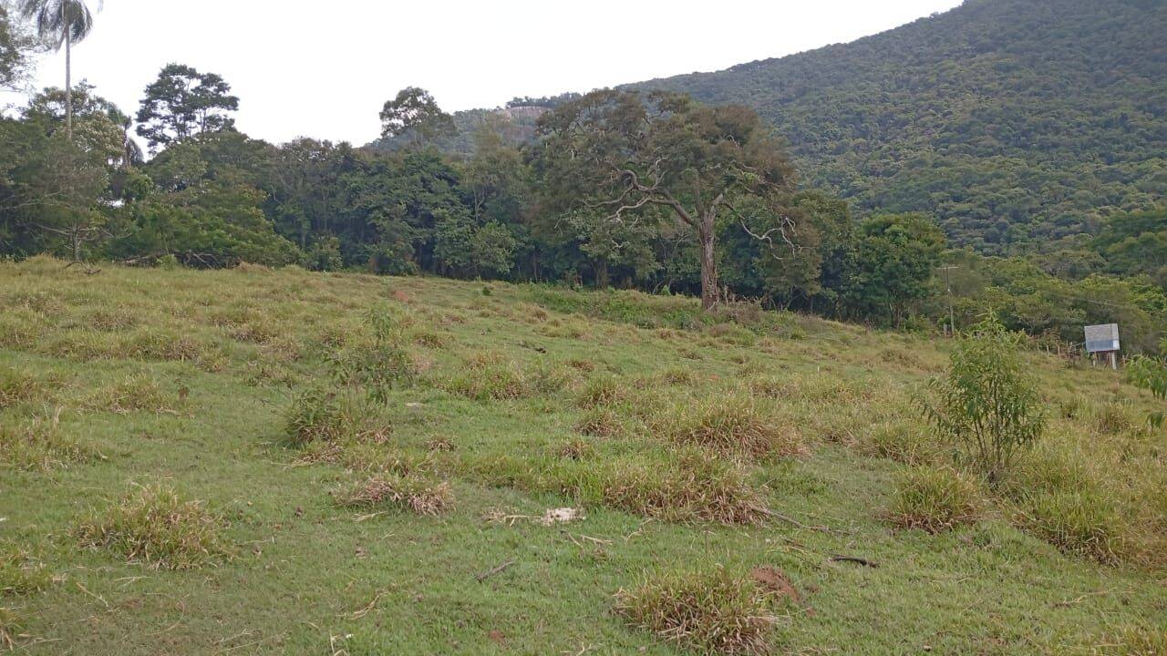 Terreno, 4750 m² - Foto 5