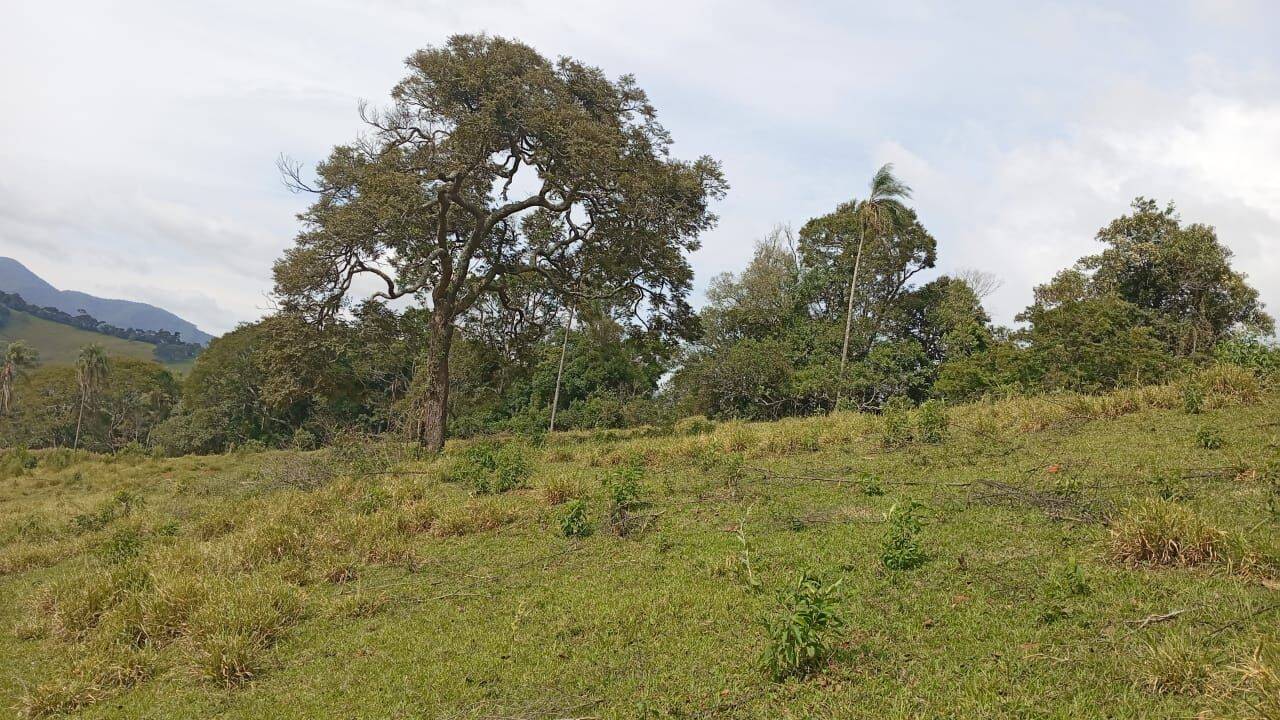 Terreno, 4750 m² - Foto 14