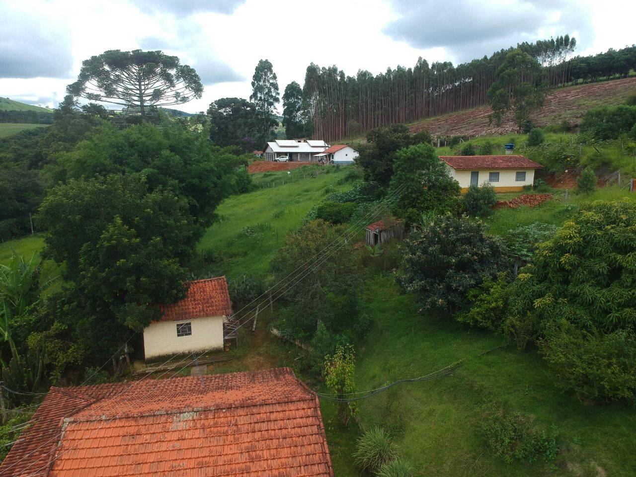 Chácara, 6 quartos, 2 hectares - Foto 6
