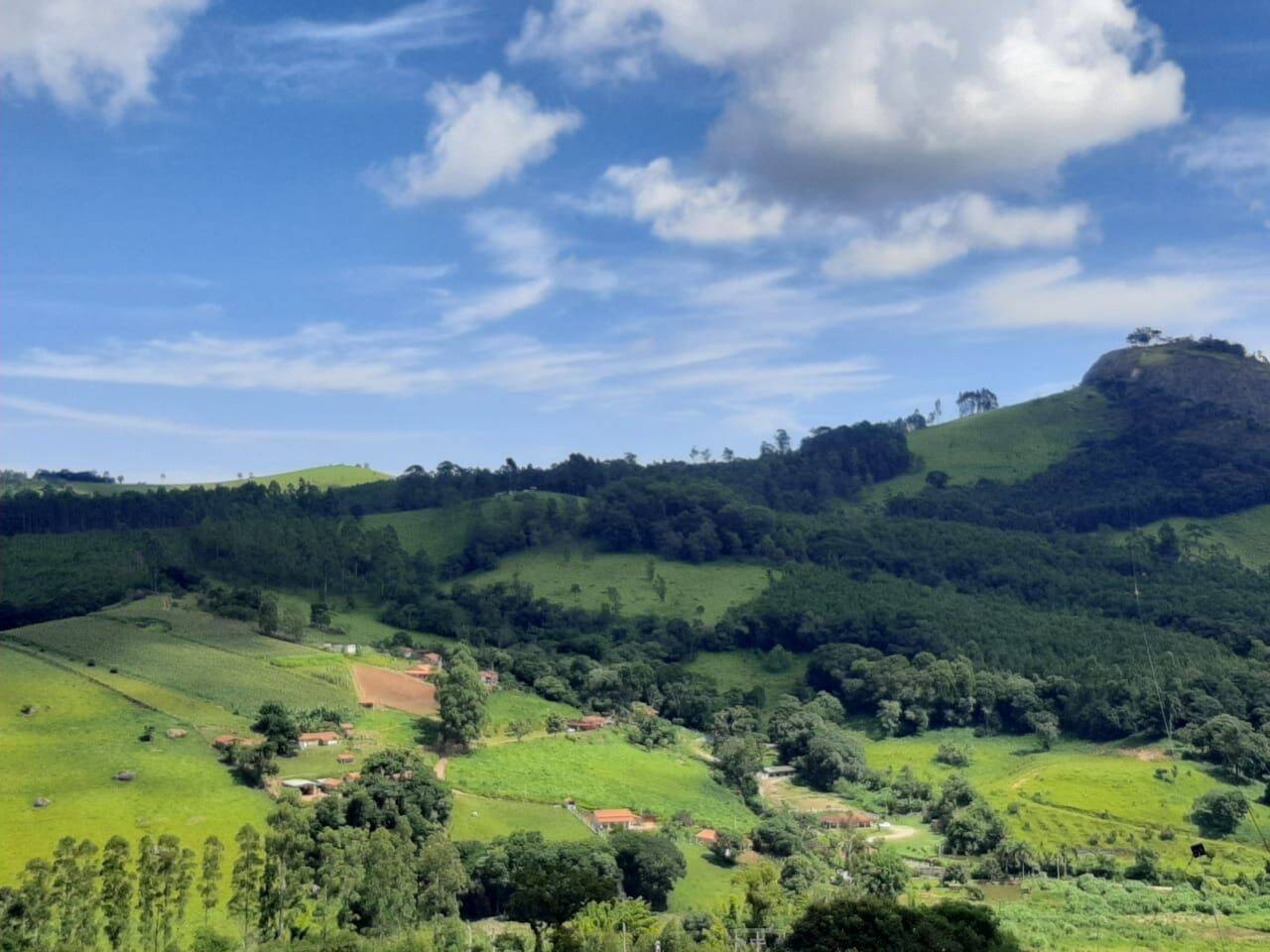 Chácara, 6 quartos, 2 hectares - Foto 7