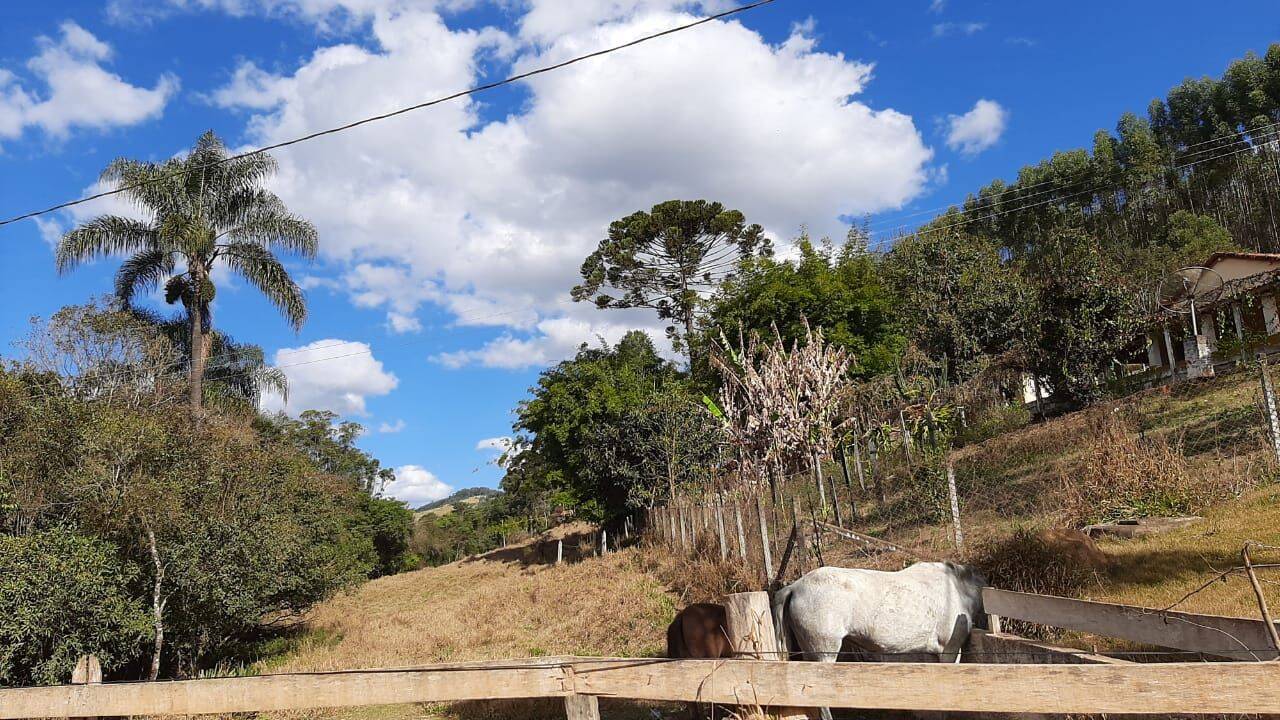 Chácara, 6 quartos, 2 hectares - Foto 20