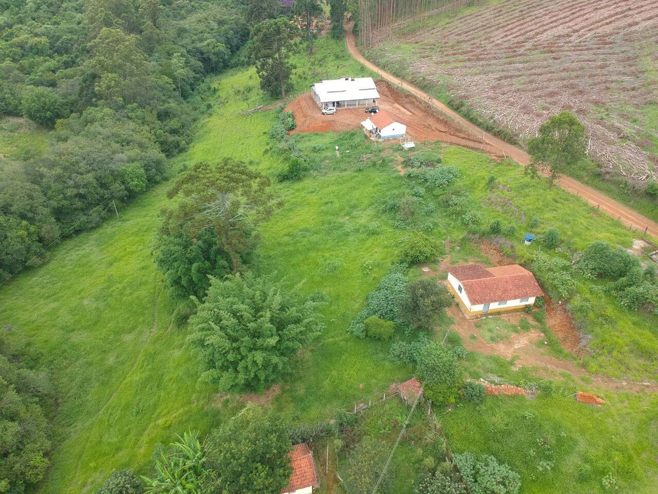 Chácara, 6 quartos, 2 hectares - Foto 21