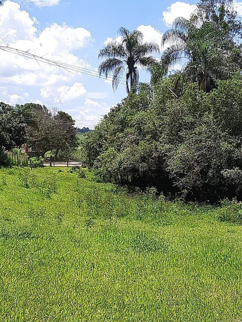 Chácara, 6 quartos, 2 hectares - Foto 24