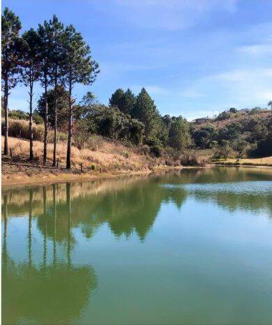 Terreno, 1000 m² - Foto 2