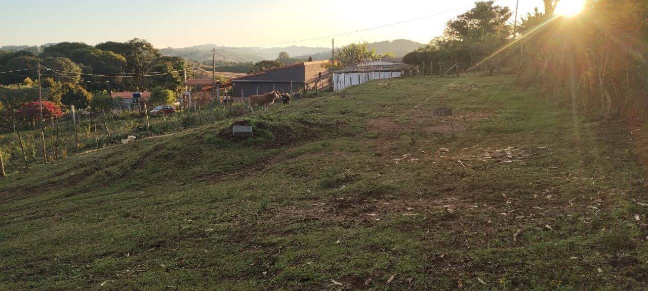 Terreno, 1000 m² - Foto 7