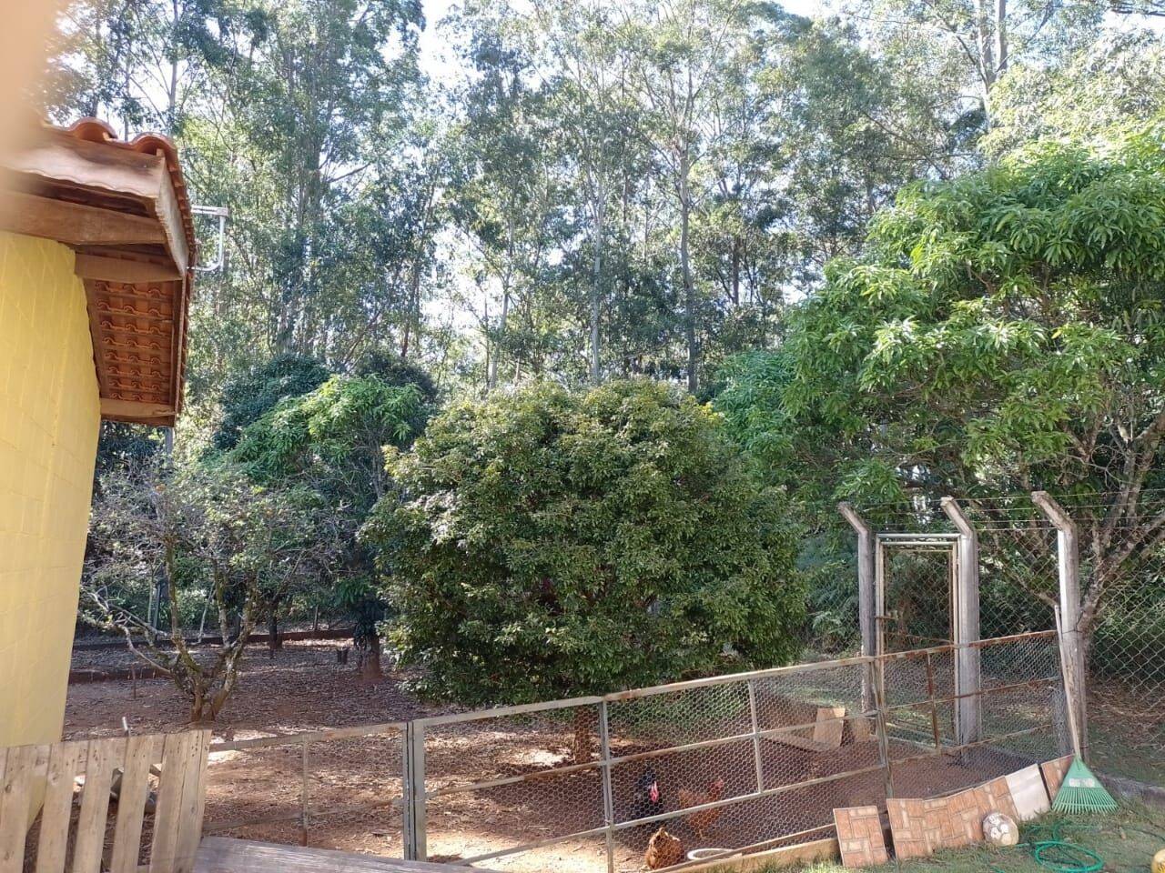 Chácara, 2 quartos, 1000 m² - Foto 11