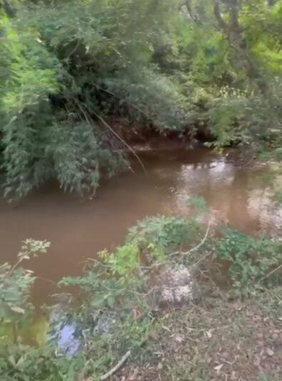 Chácara, 2 quartos, 5000 m² - Foto 11