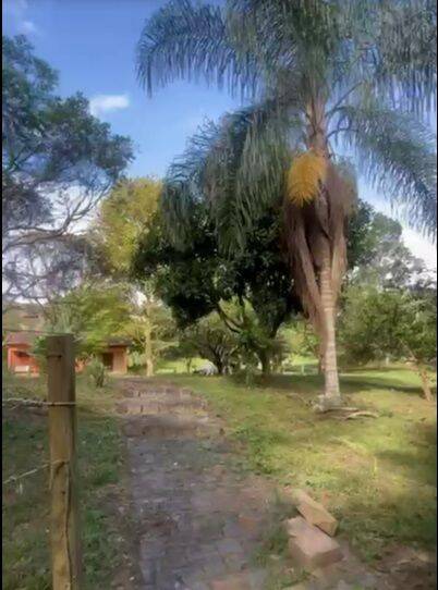 Chácara, 2 quartos, 5000 m² - Foto 12