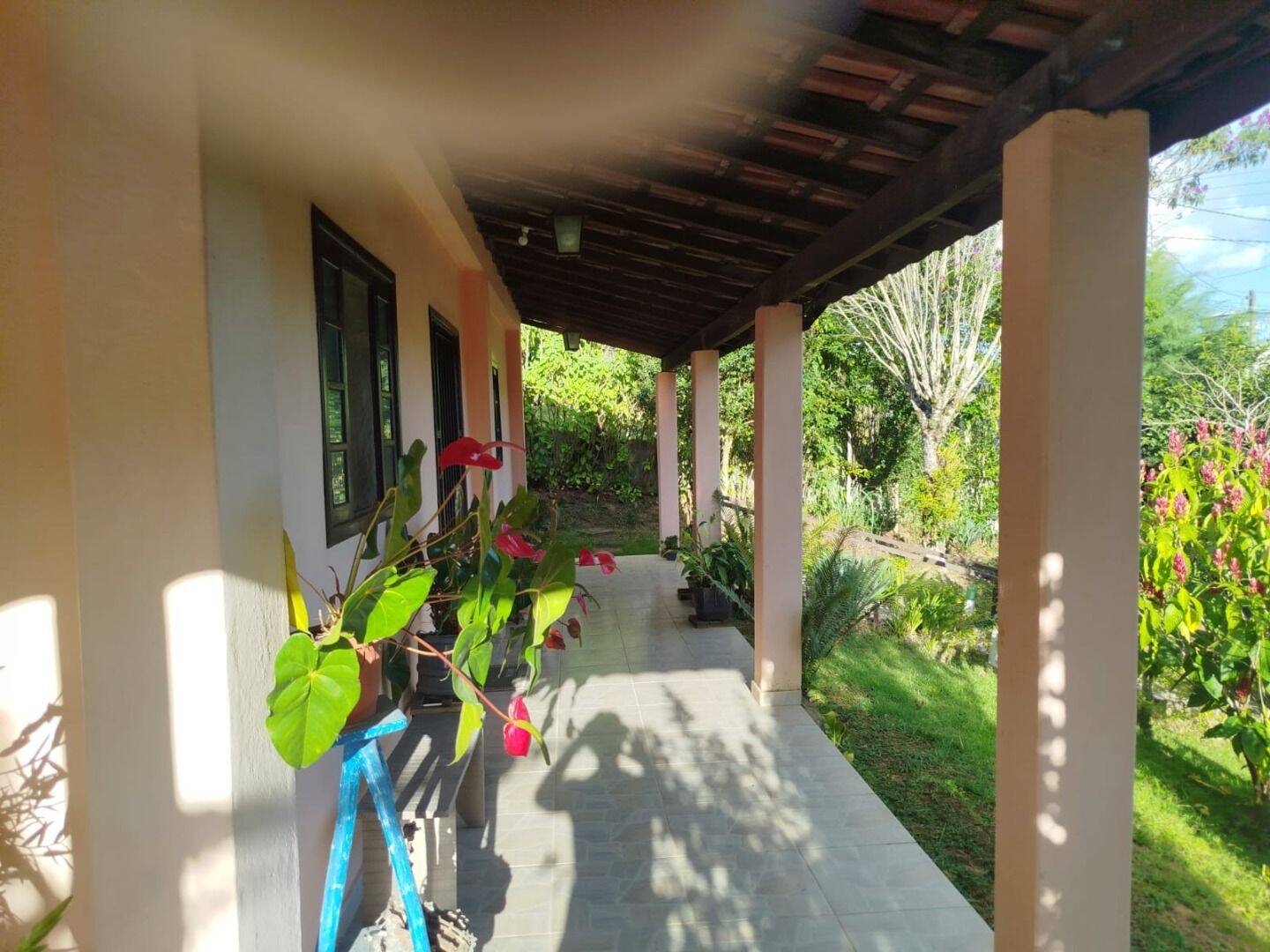 Sítio, 3 quartos, 1200 m² - Foto 3