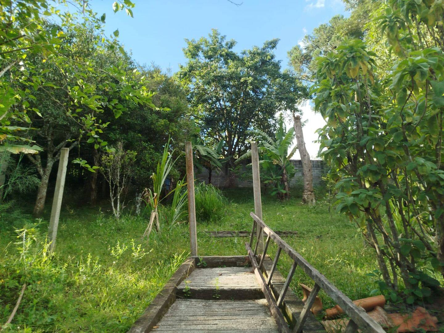 Chácara, 3 quartos, 1200 m² - Foto 8