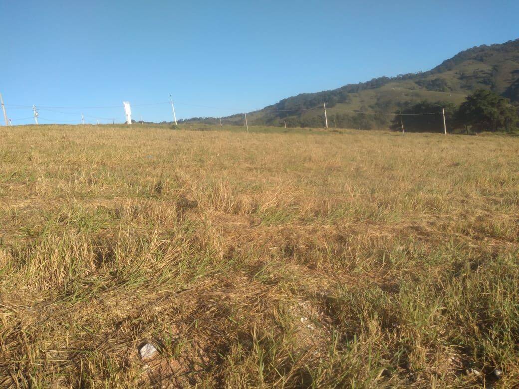 Terreno, 1167 m² - Foto 7