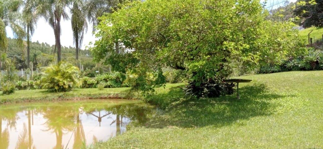 Chácara, 6 quartos, 9070 m² - Foto 36