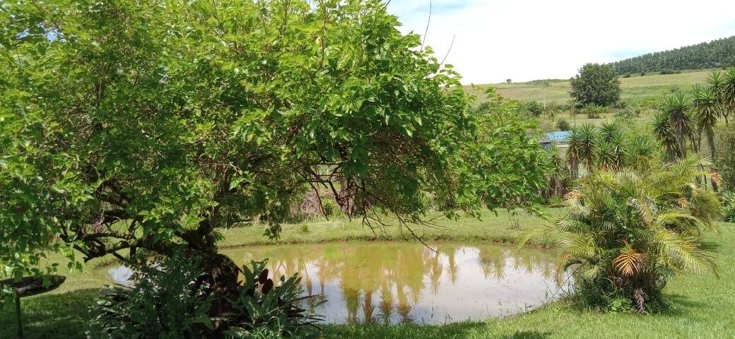 Chácara, 6 quartos, 9070 m² - Foto 39