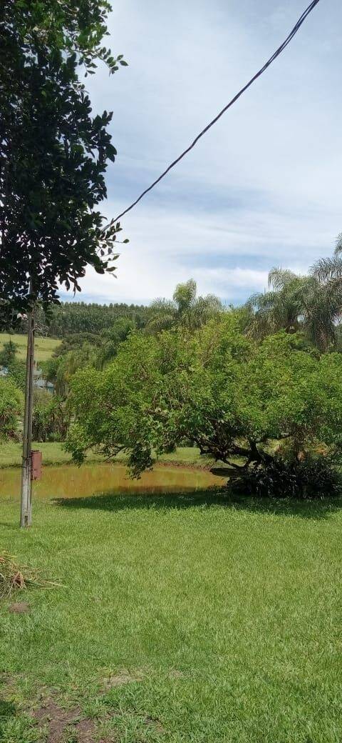 Chácara, 6 quartos, 9070 m² - Foto 40