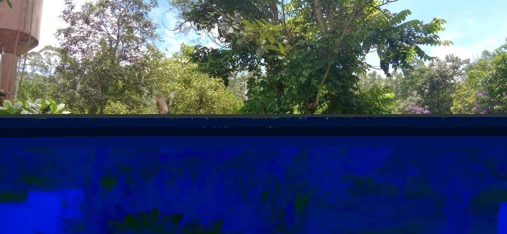 Chácara, 6 quartos, 9070 m² - Foto 43