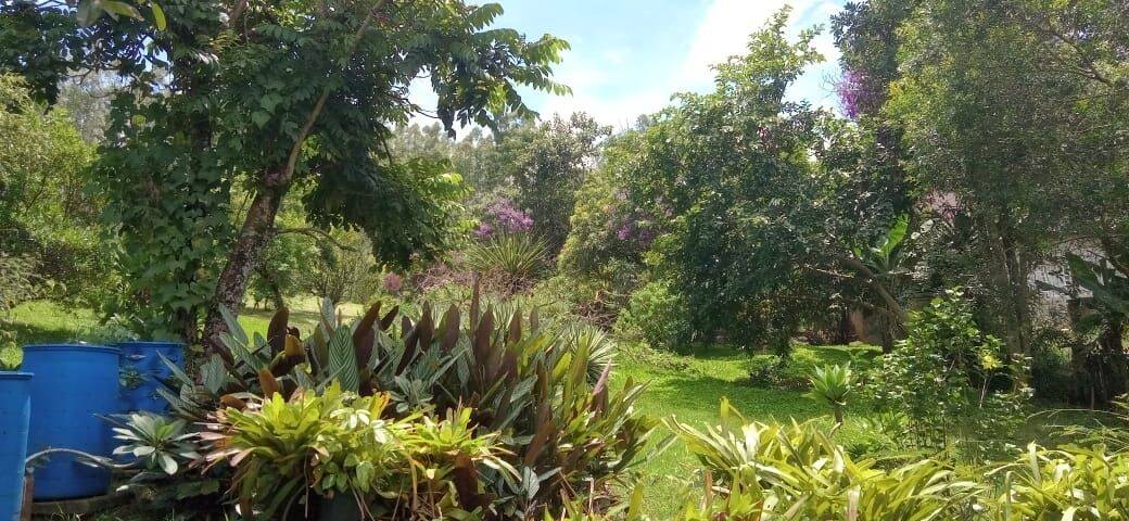 Chácara, 6 quartos, 9070 m² - Foto 44