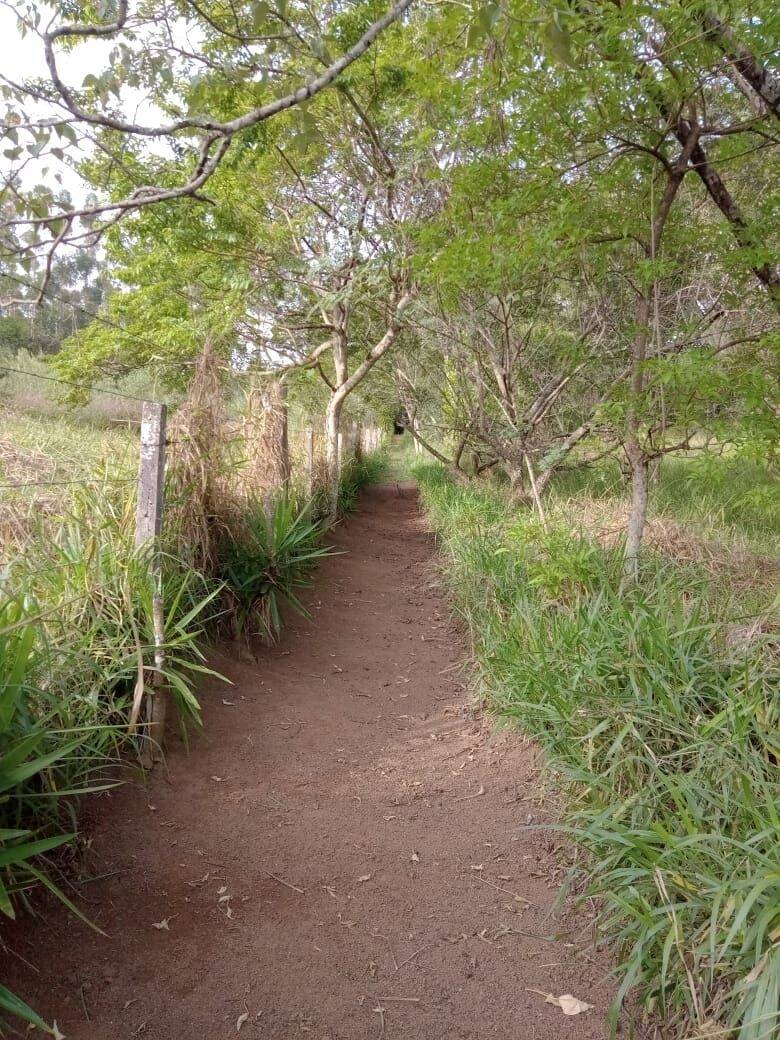 Chácara, 6 quartos, 9070 m² - Foto 61