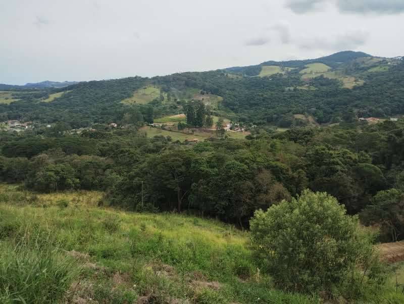 Prédio Inteiro - Foto 5