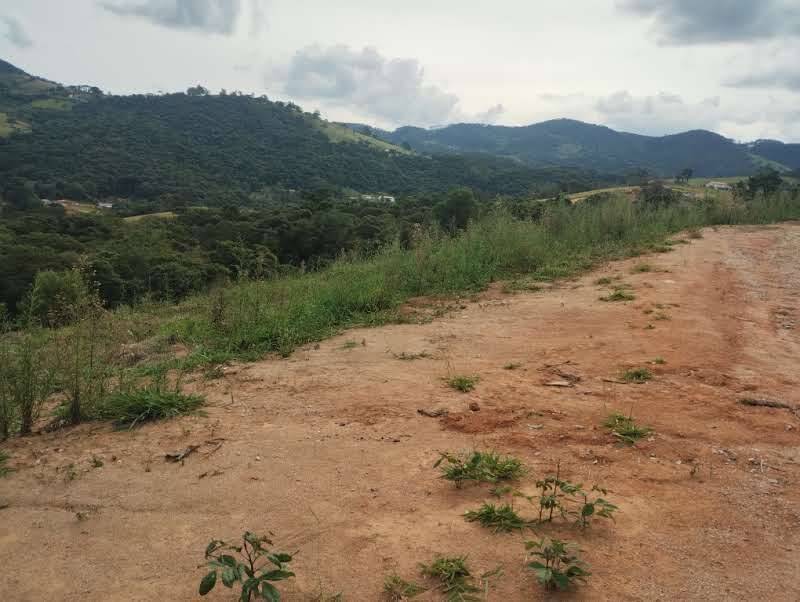 Prédio Inteiro - Foto 7