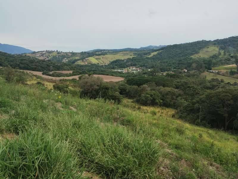 Prédio Inteiro - Foto 1