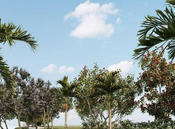 Terreno, 360 m² - Foto 8