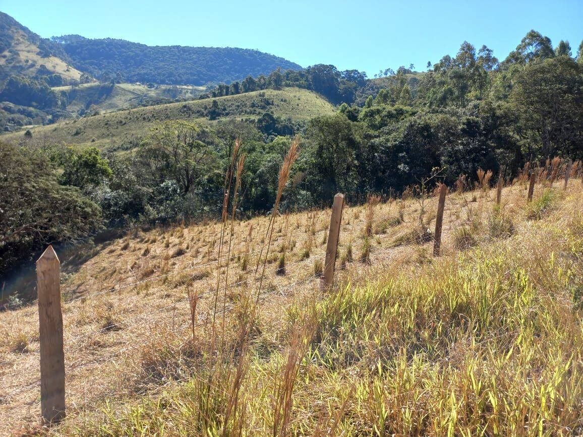 Prédio Inteiro - Foto 2