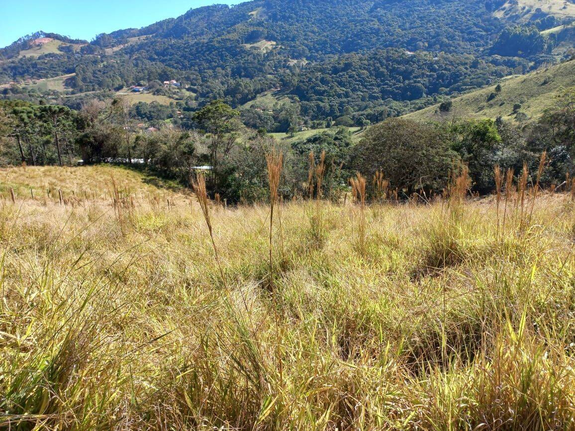 Prédio Inteiro - Foto 8