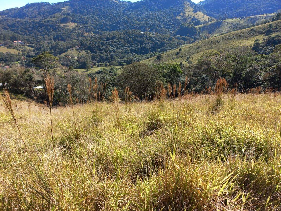 Prédio Inteiro - Foto 10