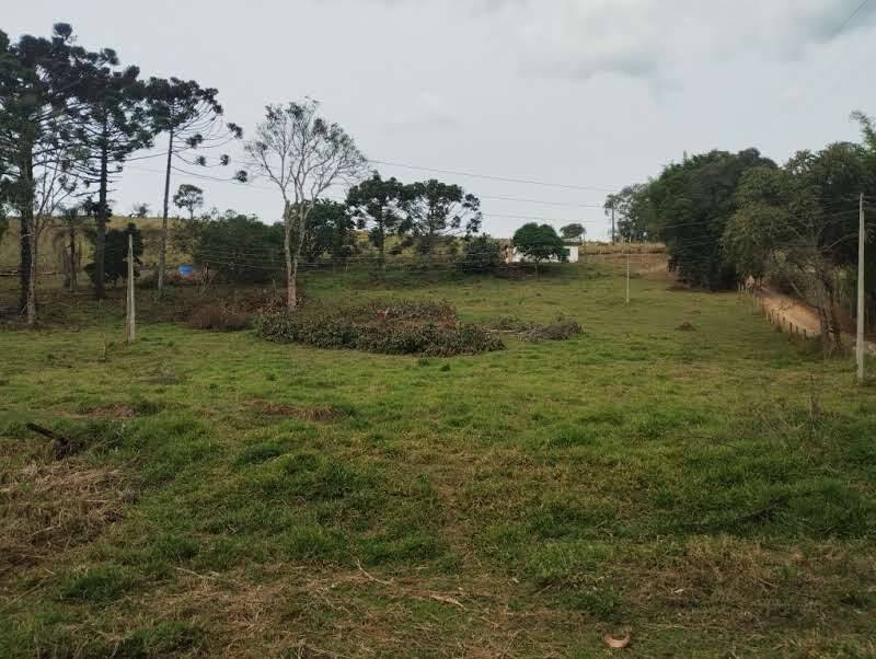 Prédio Inteiro - Foto 6