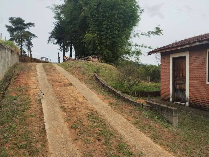 Prédio Inteiro - Foto 4